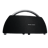 Harman Kardon Go+Play