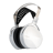 HiFiMan Isvarna