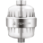 AquaBliss SF100