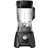 Oster Pro 1200