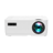 VANKYO Leisure 470 Pro 
