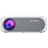 VANKYO Performance V630W