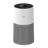 Winix C610