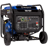 Westinghouse ecoGen10000