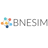 BNESIM
