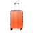 Coolife Carry On