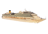 Costa Fascinosa