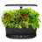 AeroGarden Bounty