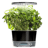 AeroGarden Harvest Elite 360