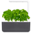 Click & Grow Smart Garden 3