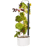 Gardyn Studio