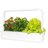 Click & Grow Smart Garden 9 Pro