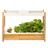 Click & Grow 25