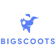 BigScoots