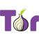Tor VPN 