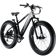 Lectric XPeak