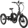 Lectric Trike2