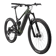 Marin Alpine Trail E1