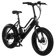 Pedego Element