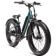 Rad Power RadRover 6 Plus