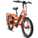 Rad Power RadWagon 4