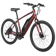 Schwinn Regent