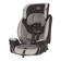 Evenflo Maestro Sport