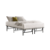 Nectar Foldable