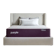 PurpleFlex