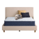 Serta Sleeptrue