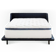The WinkBed