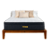Titan Plus Luxe