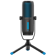 JLab Talk PRO