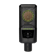 Lewitt LCT 441 FLEX