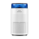 Coway Airmega 100