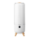 Homedics Decor Series