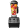 Vitamix 5200