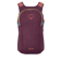 Osprey Daylite Backpack