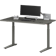 Autonomous Desk 5 Pro