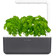 Click & Grow Smart Garden 3