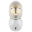 Artemis LED Mask