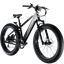 Lectric XPeak