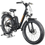 Rad Power RadRover 1