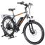 Rad Power RadCity