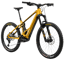 Orbea Wild H10