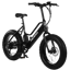 Pedego Element