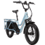 Rad Power RadWagon 5