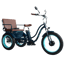 Sixthreezero EVRYjourney Rickshaw