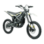 SURRON Ultra Bee 2024