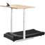 LifeSpan TR1000-Power